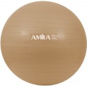 Μπάλα Γυμναστικής AMILA GYMBALL 65cm Bulk 48413 ΧΡΥΣΟ