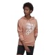 BRAND LOVE RELAXED HOODIE GS1373