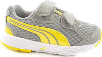 DESCENDANT V 187120-17