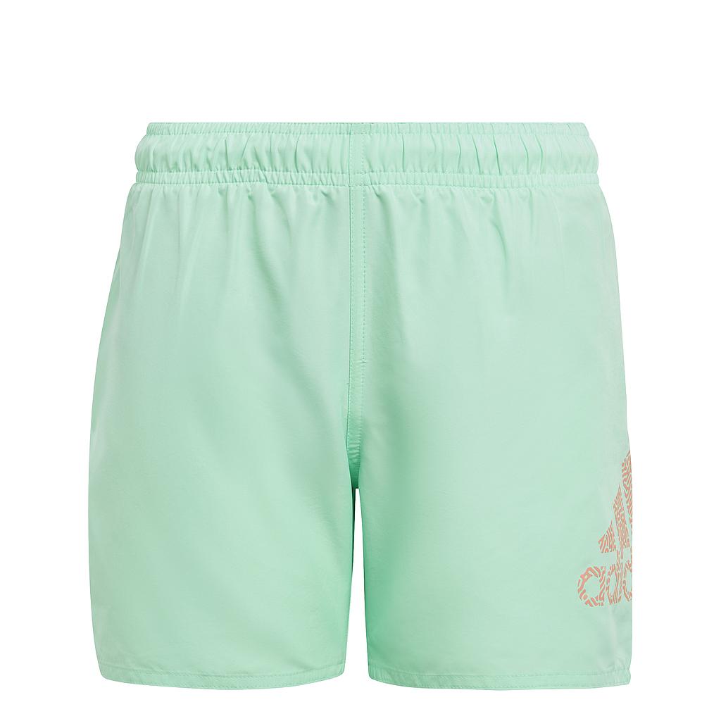 Logo CLX Swim Shorts IC7697