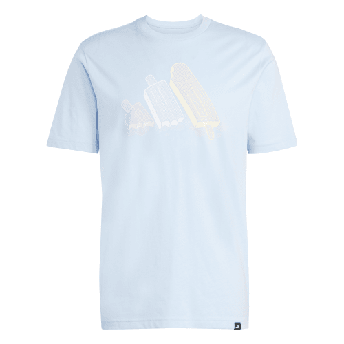ADIDAS M L ICE TEE JJ4019