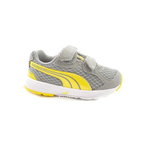 DESCENDANT V 187120-17