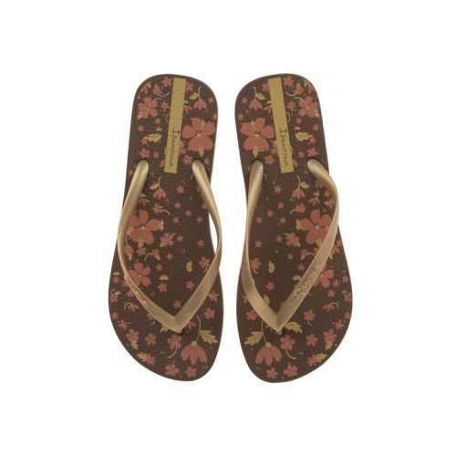 Ipanema Σαγιονάρες σε Καφέ Χρώμα 23352