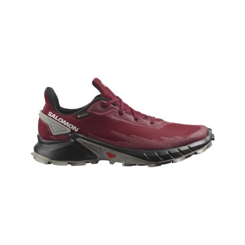 Salomon Alphacross 4 Gtx 417228