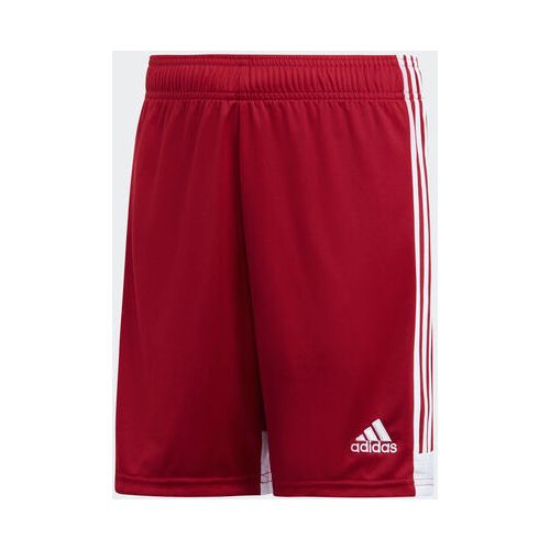 ΠΑΙΔΙΚΟ ΣΟΡΤΣ DP3685