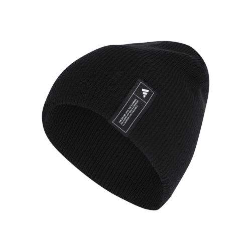 ESS BEANIE IT4644