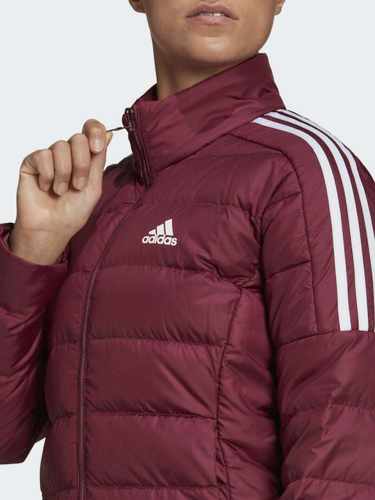 Women's Jackets Adidas
