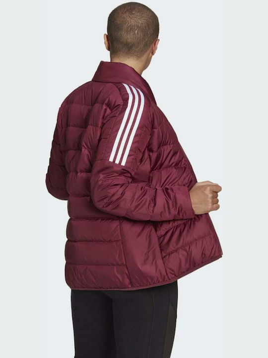 Women's Jackets Adidas