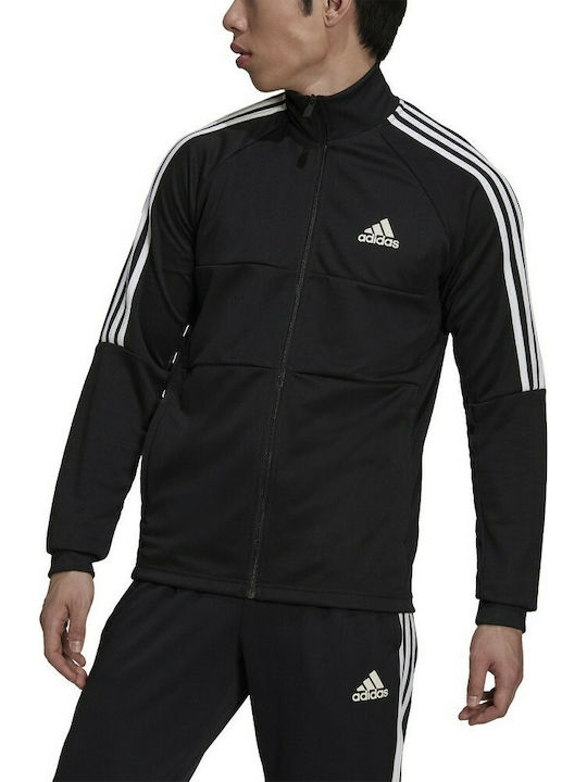 SERENO TRACK JACKET H28910