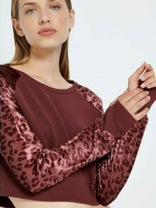 Women's Hoodies & Sweatshirts BodyTalk