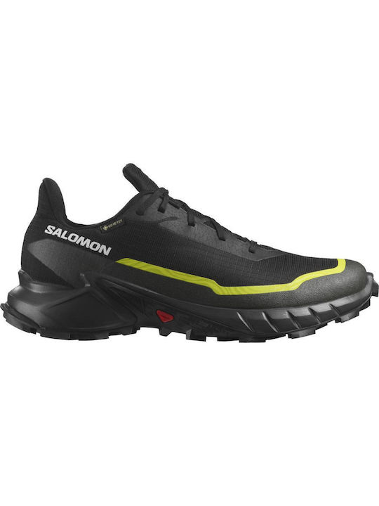 TRAIL RUNNING SHOES ALPHACROSS 5 GTX BLACK/PEAT/SULPHR 474604