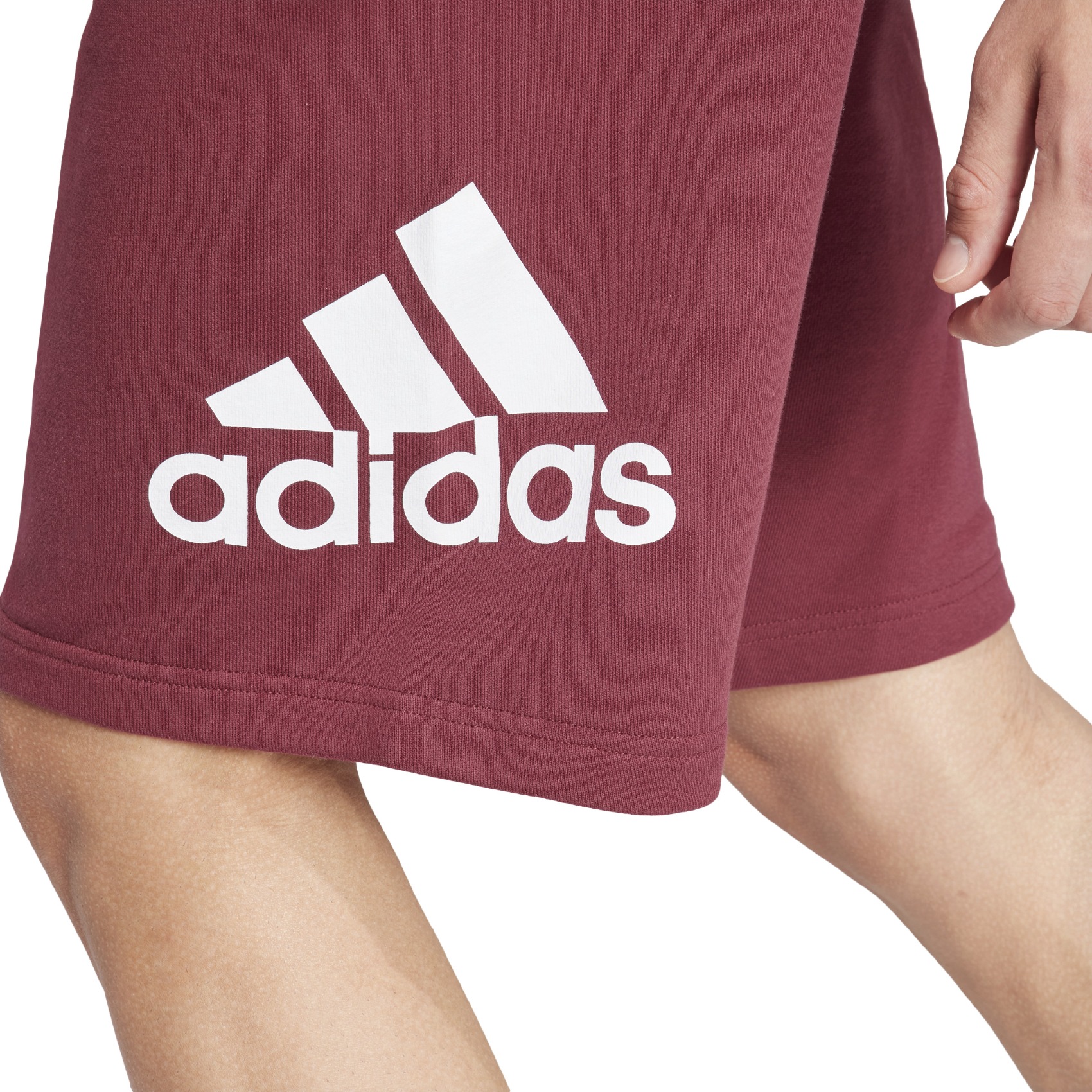 Men's Shorts Adidas
